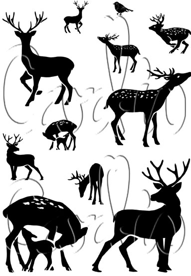 Dear Deer  A7