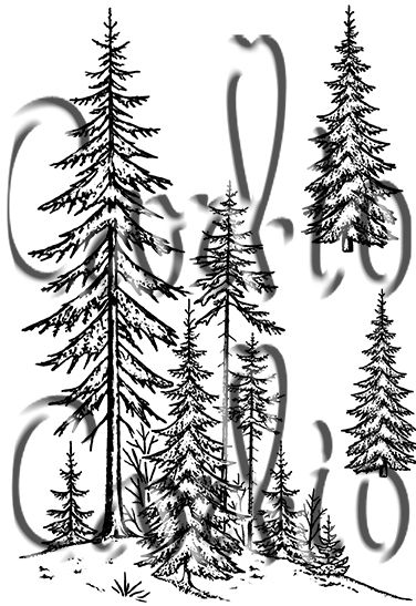 Festive Forest 1