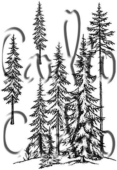 Festive Forest 2