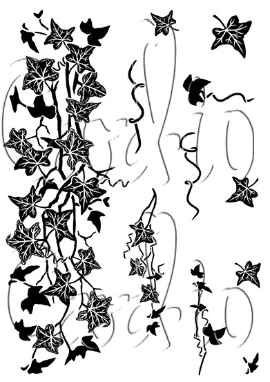 Ivy Trails  A7 Clear Stamp Set