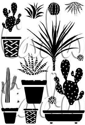 Pots and Prickles