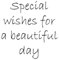 Special Wishes