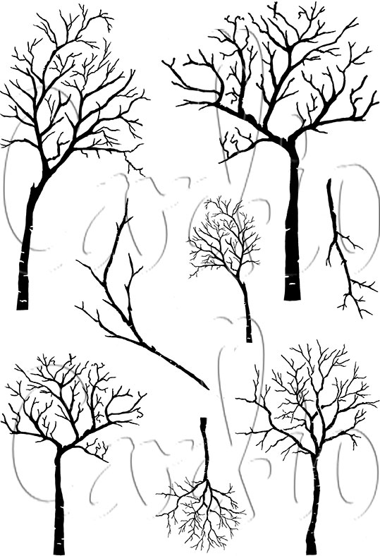 Winter Trees